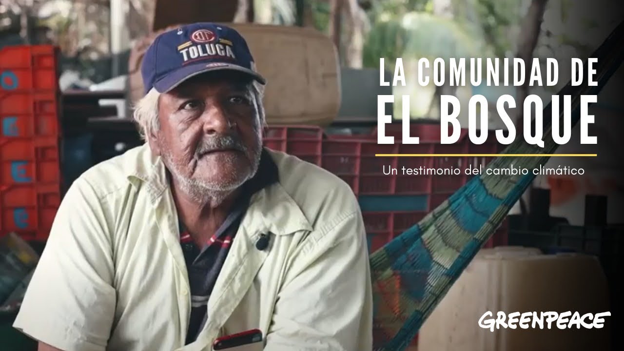 Así se viven las consecuencias del cambio climático, testimonio El Bosque - Greenpeace México