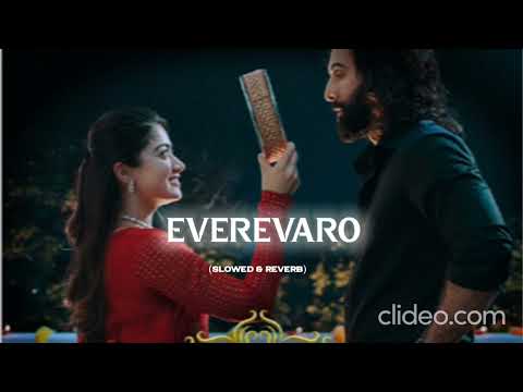 Evarevaro | Animal | (slowed & reverb) love  song | Ranbir, Rashmika, Tripti | 30 mins loop