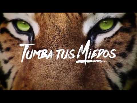 #Tumbamurallas con Discovery