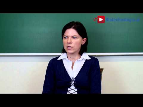 Czym jest epigenetyka i dlaczego zajmują się Państwo tym zagadnieniem? - Agnieszka Żelisko-Schmidt