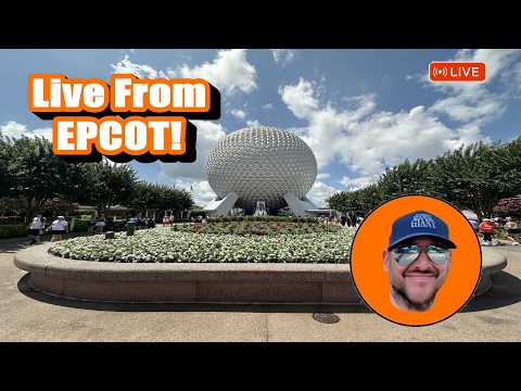 Live webcam of Theme Park Giant