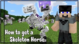 How to Get Skeleton Horses In Minecraft : 5 min Tutorial