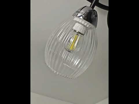 Миниатюра изображения товара Потолочный светильник Mirastyle BL-7625/6 CR+BK