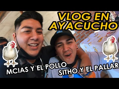 VLOG 41 | MCIAS Y EL POLLO | VLOG EN AYACUCHO | PAPALETTA CAMPEÓN | SITHO Y SUS PELEAS CON EL PALLAR