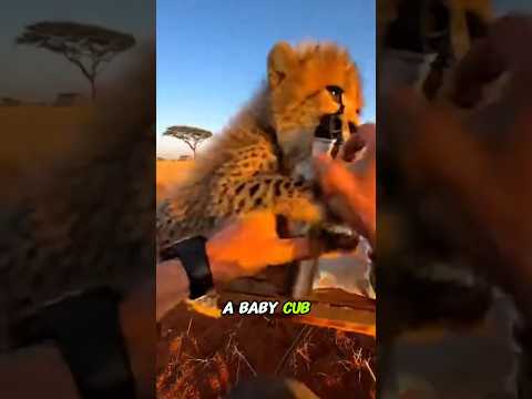 When Kindness Comes Back to Save You ❤️🐾