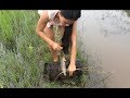 Amazing Girl Fishing Khmer Real Life Fishing At Siem Reap Cambodia