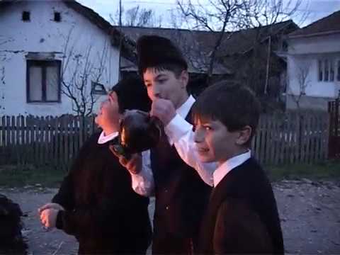 SUMRAKOVAC - "Zdrav kao dren"