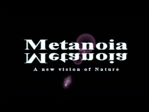 Metanoia - documentary about nature's automatic self-organizing intelligence