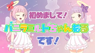 【 任天堂 ネタ 】 初めまして バニラミルト です! 【 バニラミルト #1 】