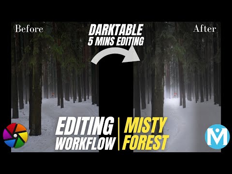 darktable editing workflow for a misty forest   5 minutes challenge