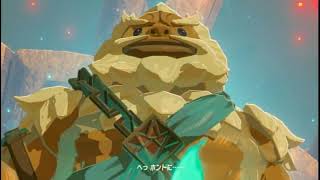 ゼルダの伝説ブレスオブザワイルド＃３７
