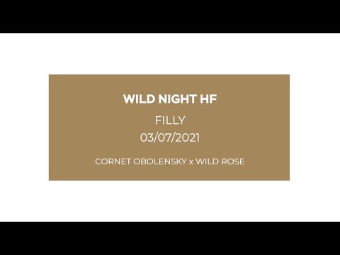 Wild Night HF