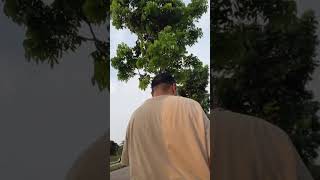 Download lagu Marion jola in pubclic sexy mp3