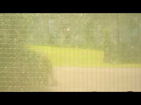 Tip of the Day: Space Dimension Controller - Correlations (Clone)