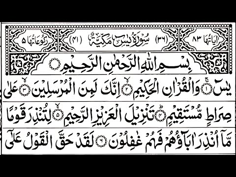 Surah Yaseen Sharif | The Light Of Quran | Ep 307| Surah Yaseen Surah Rahman Surah Mulk Recitation
