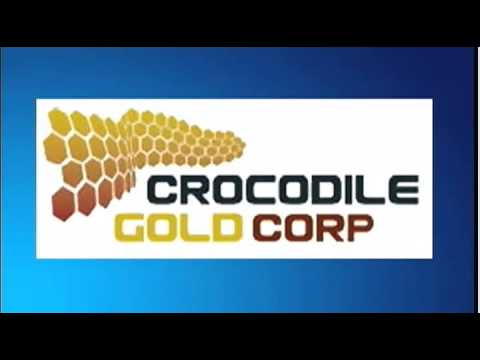 January 17th The  Futures Hour with Larry Pesavento - 2012