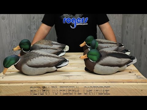 Avian-X Series Decoys