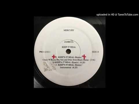 Jamecia feat Busta Rhymes, Dres Black Sheep & Common - Keep It Real (remix), 1995