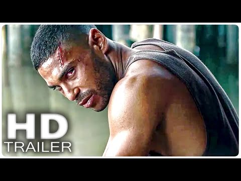 Tráiler La Venganza del Dragón [BDRIP] 2023