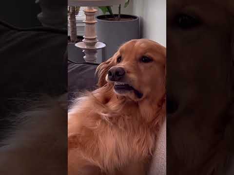 #wedding #music #ichlassfürdichdaslichtan