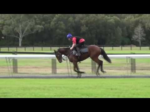 Casino Prince x Telegraph Gal