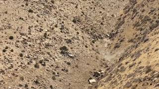 Punishment at the gate of Mortuary