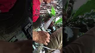 Download lagu Wali - Aku Bukan Bang Toyib #shorts #guitar #guitarcover #solo mp3 Download lagu Wali - Aku Bukan Bang Toyib #shorts #guitar #guitarcover #solo mp3