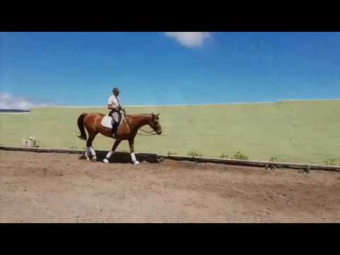 FARAMIR Old 2007 x Fidertanz