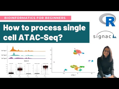 How to analyze single-cell ATAC-Seq data in R | Detailed Signac Workflow Tutorial