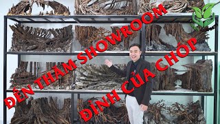 Đến thăm showroom Thủy sinh KHÉT nhất Vịnh Bắc Bộ!