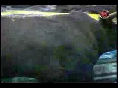 Luke Snyder Vs. Beaver Cleaver