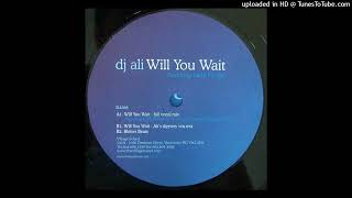 DJ Ali - Blotter Beats (Will You Wait EP)