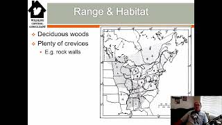 Eastern Chipmunk (Tamias striatus) Biology and Life History for Control