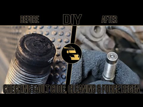 SPN 3556 FMI 18 |  7th Injector On A Freightliner Cascadia Needs To Be Cleaned! How To DIY