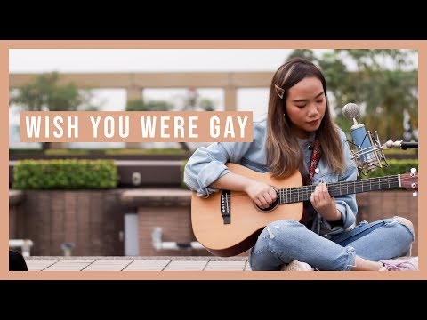 Billie Eilish - wish you were gay (cover by Dena)