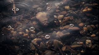 Dark Rocks in Still Pool of Water River Ocean HD Video Scene Loop Background