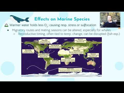 AP Environmental Science Video Notes 9.6 -Ocean Warming