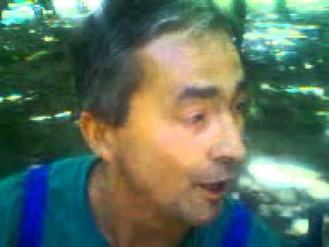 MITICA ACCEDE LA PRIMARIA COMUNEI GAISENI