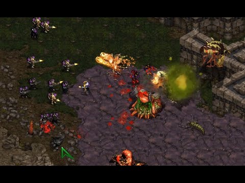 THE DONG - Jaedong 🇰🇷 (Z) vs Mong 🇰🇷 (T) on Neo Sylphid - StarCraft - Brood War