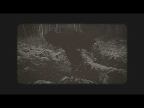 The Sigourney Weavers - Light Up Dark (official Video)