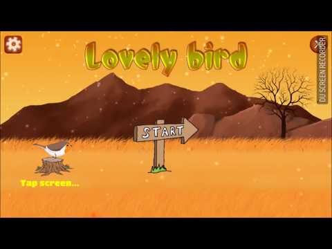 Lovely Bird Video
