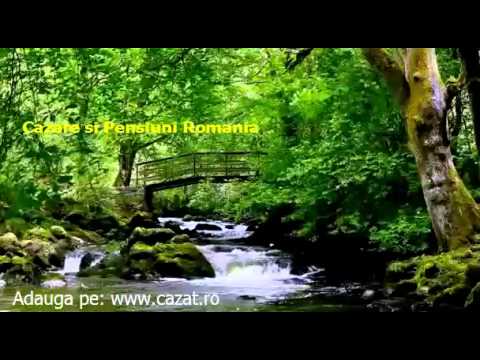 Cazare Cund, Mures - Cazat.ro