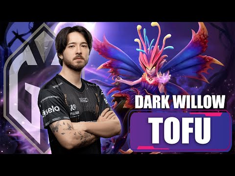 TOFU DARK WILLOW POS 4 POV | GG vs Team Liquid | PGL Wallachia S5 Playoffs | Dota 2 Playmaker POV
