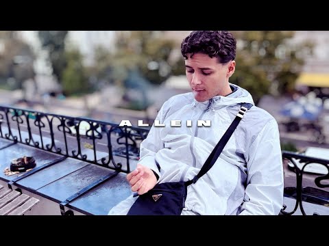 Pashanim feat. Ufo361 - Allein (prod. by Exetra Beatz & onice)