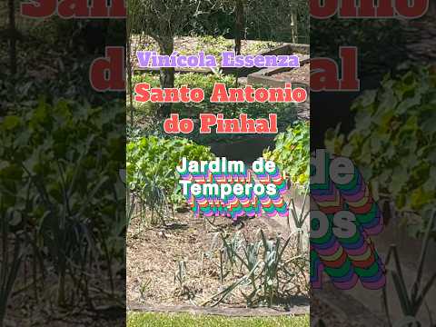 Jardim de Temperos e horta Santo Antonio do Pinhal #arquiteturadocafe #mantiqueira #vinhobrasileiro