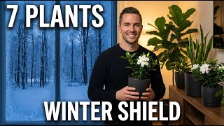 These 7 Plants Stop Winter's Emotional Weight From Entering Your Space