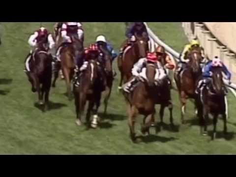 2009 Blue Diamond Stakes- Reward For Effort