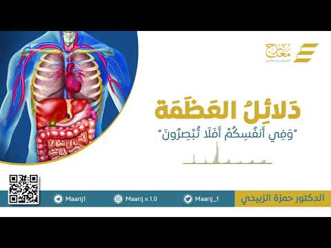 دلائل العظمة - وفي أنفسكم أفلا تبصرون