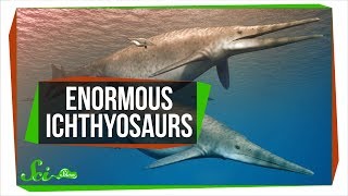 These 'Fossilized Brains' Might Not Be Brains At All