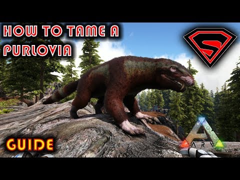 ARK HOW TO TAME A PURLOVIA 2019 - HOW TO FIND AND TAME A PURLOVIA WITH A TRAP